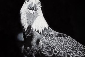 Screaming Eagle by Allan Wesley Johnson at Treez Studio